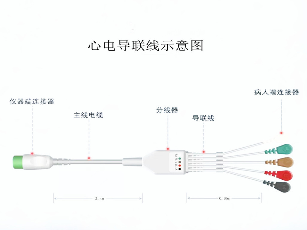 绿巨人视频下载心電導聯線